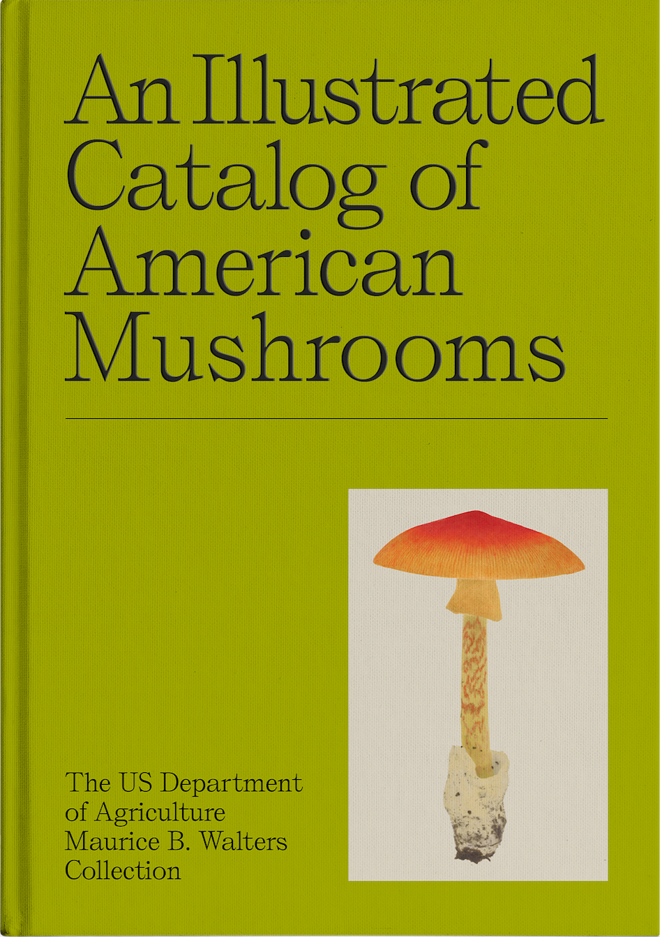 An Illustrated Catalog of American Mushrooms – Atelier Éditions Inc