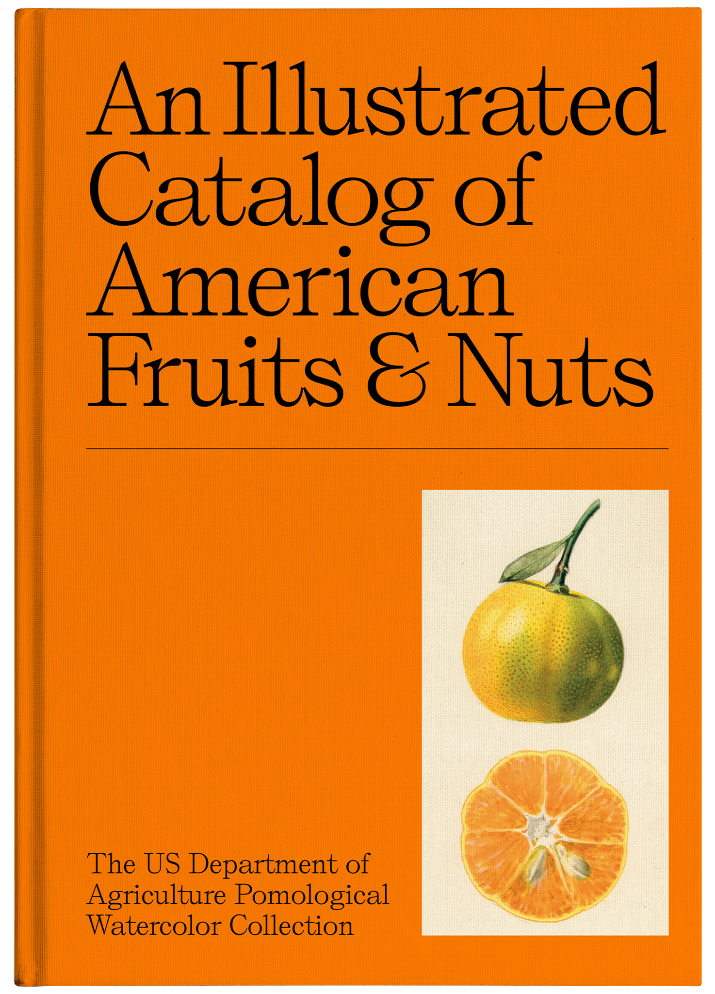 An Illustrated Catalog of American Fruits & Nuts Atelier Éditions Inc